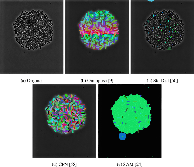 Figure 3 for EAP4EMSIG -- Experiment Automation Pipeline for Event-Driven Microscopy to Smart Microfluidic Single-Cells Analysis