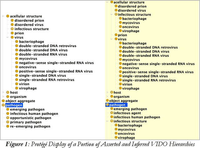 Figure 2 for A Fourfold Pathogen Reference Ontology Suite