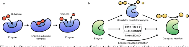 Figure 1 for Reactzyme: A Benchmark for Enzyme-Reaction Prediction