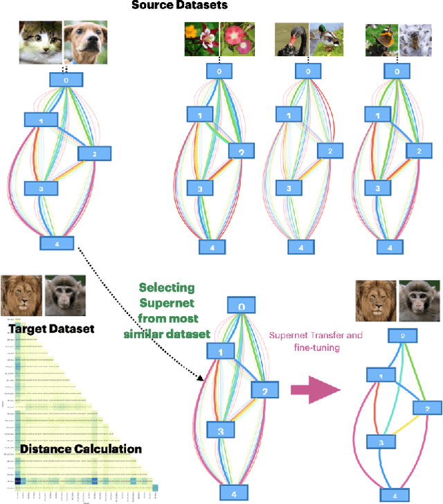 Figure 1 for Robust and Efficient Transfer Learning via Supernet Transfer in Warm-started Neural Architecture Search