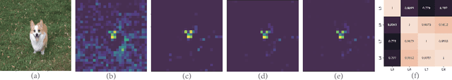 Figure 1 for RedTest: Towards Measuring Redundancy in Deep Neural Networks Effectively