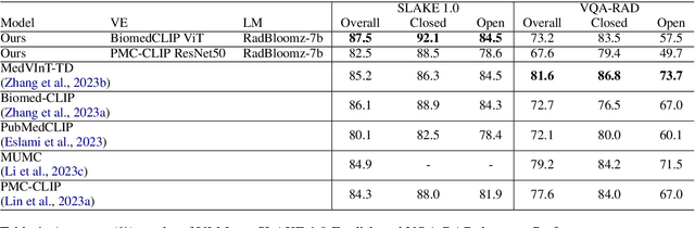Figure 2 for Fusion of Domain-Adapted Vision and Language Models for Medical Visual Question Answering