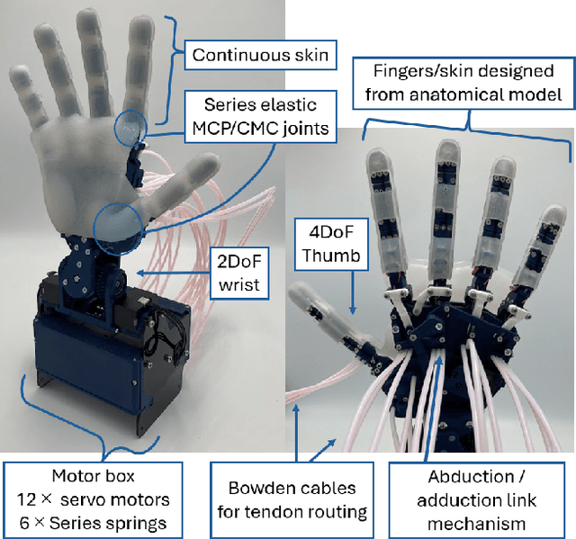 Figure 4 for Vision-Language-Action Model and Diffusion Policy Switching Enables Dexterous Control of an Anthropomorphic Hand