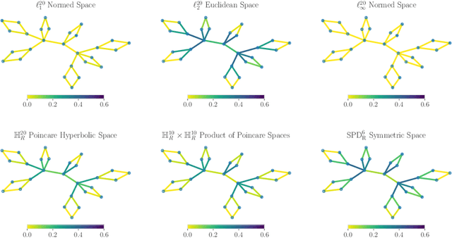 Figure 1 for Normed Spaces for Graph Embedding