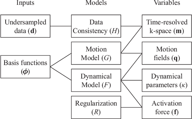 Figure 1 for Time-Resolved Reconstruction of Motion, Force, and Stiffness using Spectro-Dynamic MRI