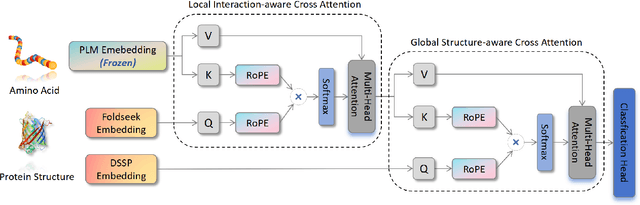 Figure 2 for Simple, Efficient and Scalable Structure-aware Adapter Boosts Protein Language Models