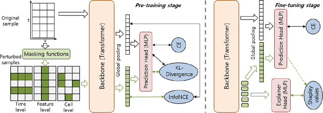 Figure 1 for Unifying Prediction and Explanation in Time-Series Transformers via Shapley-based Pretraining