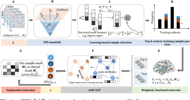 Figure 1 for An Explainable Geometric-Weighted Graph Attention Network for Identifying Functional Networks Associated with Gait Impairment