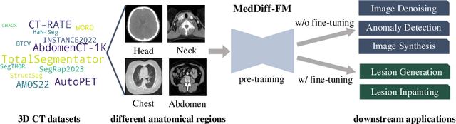 Figure 1 for MedDiff-FM: A Diffusion-based Foundation Model for Versatile Medical Image Applications