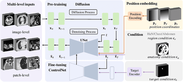 Figure 3 for MedDiff-FM: A Diffusion-based Foundation Model for Versatile Medical Image Applications