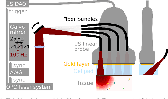 Figure 1 for Machine learning enabled multiple illumination quantitative optoacoustic imaging of blood oxygenation in humans