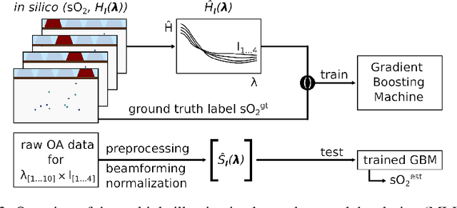 Figure 4 for Machine learning enabled multiple illumination quantitative optoacoustic imaging of blood oxygenation in humans