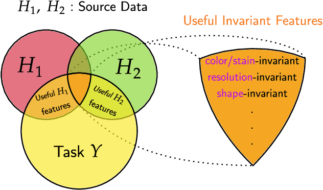 Figure 1 for ALFA -- Leveraging All Levels of Feature Abstraction for Enhancing the Generalization of Histopathology Image Classification Across Unseen Hospitals