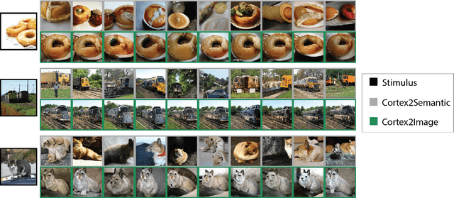 Figure 4 for Decoding natural image stimuli from fMRI data with a surface-based convolutional network