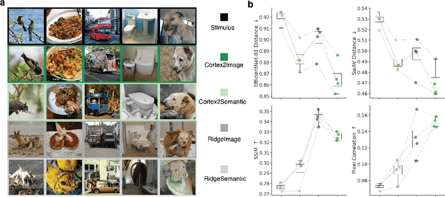 Figure 3 for Decoding natural image stimuli from fMRI data with a surface-based convolutional network