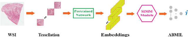 Figure 1 for A Spatially-Aware Multiple Instance Learning Framework for Digital Pathology