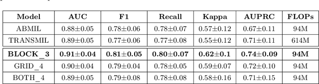 Figure 2 for A Spatially-Aware Multiple Instance Learning Framework for Digital Pathology