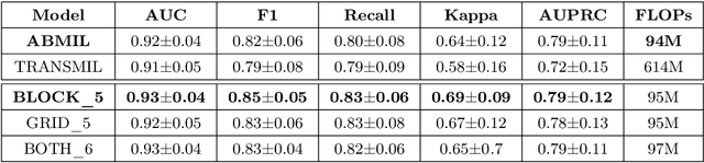 Figure 4 for A Spatially-Aware Multiple Instance Learning Framework for Digital Pathology