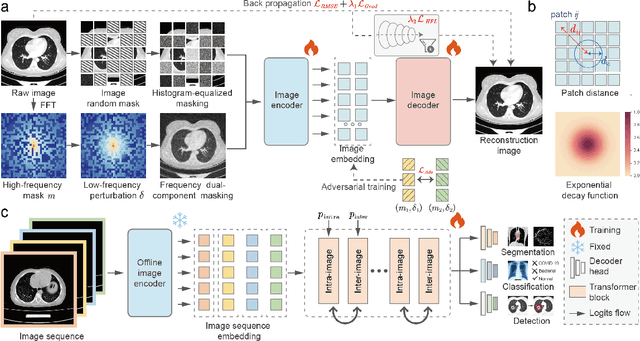 Figure 3 for Improving Representation of High-frequency Components for Medical Foundation Models