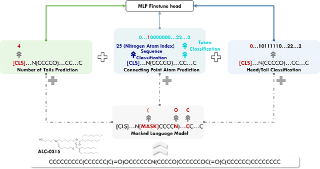 Figure 2 for LipidBERT: A Lipid Language Model Pre-trained on METiS de novo Lipid Library