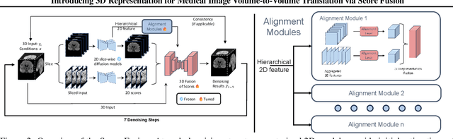 Figure 3 for Diff-Ensembler: Learning to Ensemble 2D Diffusion Models for Volume-to-Volume Medical Image Translation