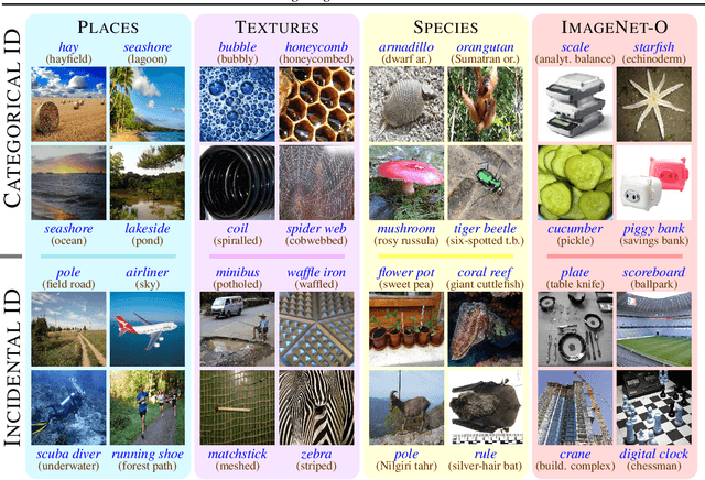 Figure 1 for In or Out? Fixing ImageNet Out-of-Distribution Detection Evaluation