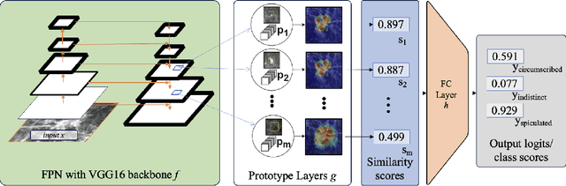 Figure 3 for FPN-IAIA-BL: A Multi-Scale Interpretable Deep Learning Model for Classification of Mass Margins in Digital Mammography