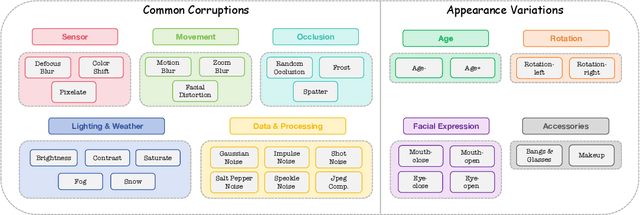 Figure 3 for OODFace: Benchmarking Robustness of Face Recognition under Common Corruptions and Appearance Variations