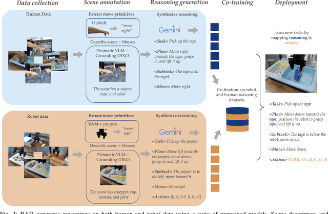 Figure 3 for Action-Free Reasoning for Policy Generalization