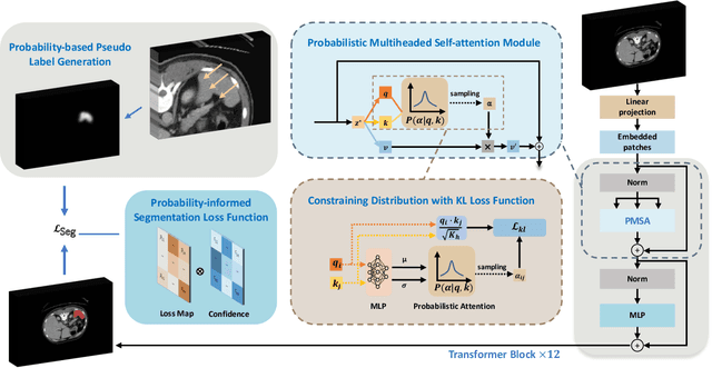 Figure 1 for Enhancing Weakly Supervised 3D Medical Image Segmentation through Probabilistic-aware Learning