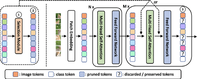 Figure 3 for Revisiting Token Pruning for Object Detection and Instance Segmentation