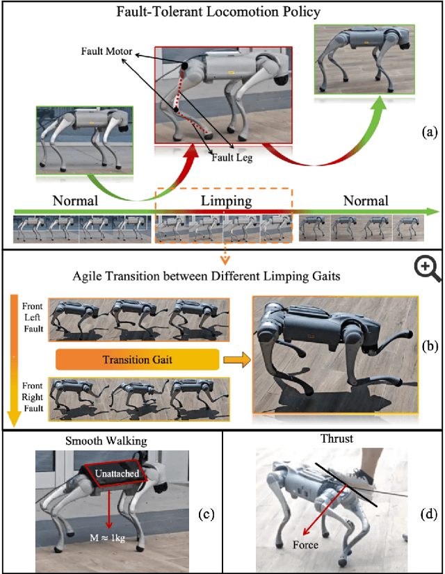Figure 1 for AcL: Action Learner for Fault-Tolerant Quadruped Locomotion Control