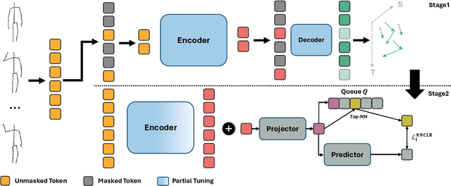 Figure 3 for STARS: Self-supervised Tuning for 3D Action Recognition in Skeleton Sequences