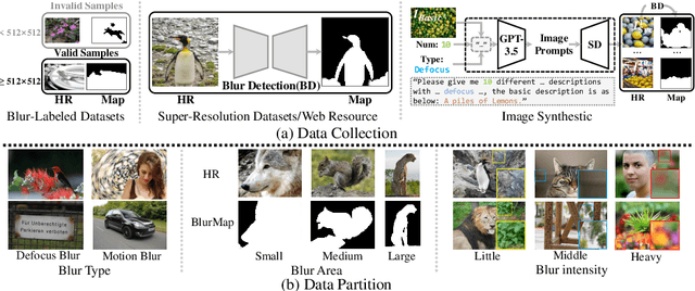 Figure 3 for A New Dataset and Framework for Real-World Blurred Images Super-Resolution