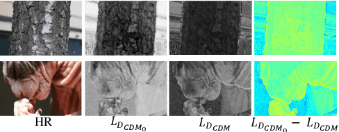 Figure 2 for A New Dataset and Framework for Real-World Blurred Images Super-Resolution