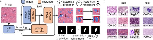 Figure 1 for CellPilot: A unified approach to automatic and interactive segmentation in histopathology