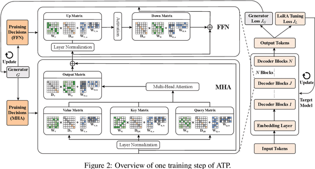 Figure 3 for All-in-One Tuning and Structural Pruning for Domain-Specific LLMs