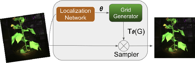 Figure 1 for Spatial Transformer Network YOLO Model for Agricultural Object Detection