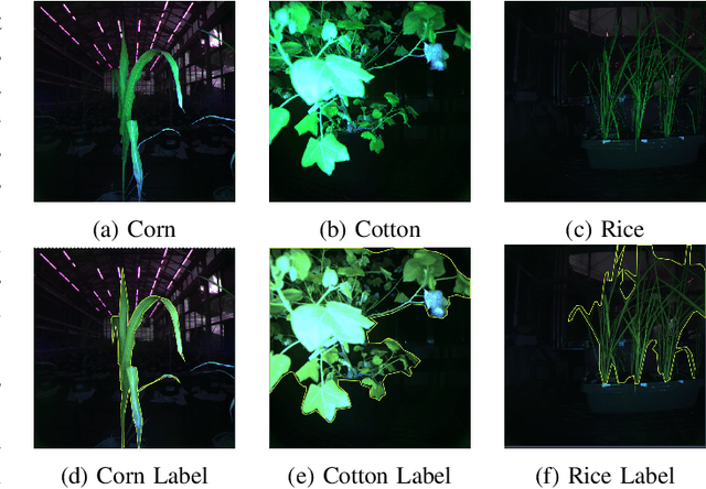 Figure 2 for Spatial Transformer Network YOLO Model for Agricultural Object Detection