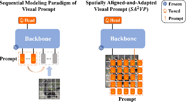 Figure 1 for SA$^2$VP: Spatially Aligned-and-Adapted Visual Prompt