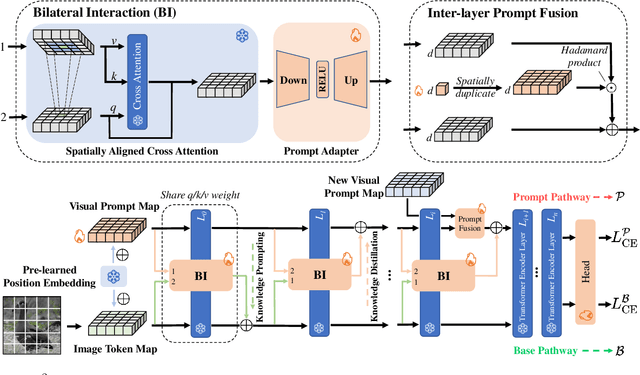 Figure 3 for SA$^2$VP: Spatially Aligned-and-Adapted Visual Prompt