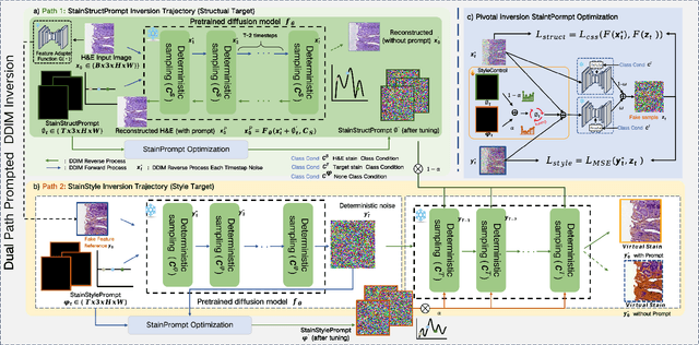 Figure 3 for Unpaired Multi-Domain Histopathology Virtual Staining using Dual Path Prompted Inversion