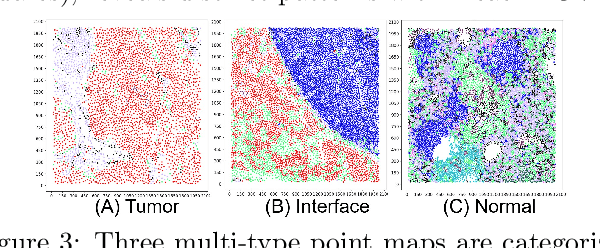 Figure 4 for Spatially-Delineated Domain-Adapted AI Classification: An Application for Oncology Data