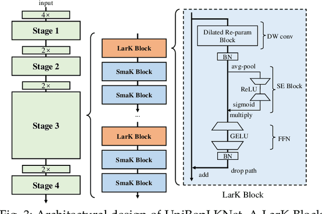 Figure 3 for Scaling Up Your Kernels: Large Kernel Design in ConvNets towards Universal Representations