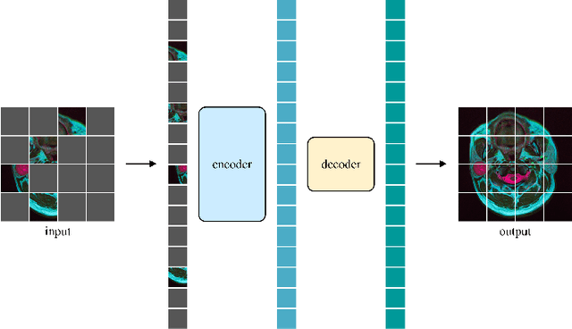 Figure 1 for Swin MAE: Masked Autoencoders for Small Datasets
