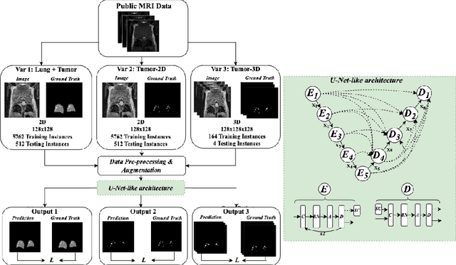 Figure 1 for Lung tumor segmentation in MRI mice scans using 3D nnU-Net with minimum annotations