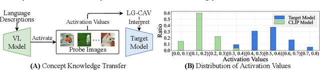 Figure 3 for LG-CAV: Train Any Concept Activation Vector with Language Guidance