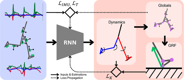 Figure 1 for SSPINNpose: A Self-Supervised PINN for Inertial Pose and Dynamics Estimation