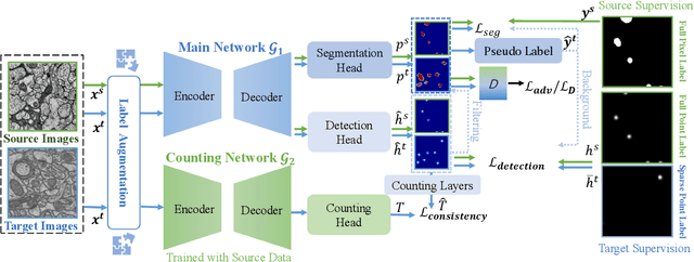 Figure 4 for Weakly-Supervised Cross-Domain Segmentation of Electron Microscopy with Sparse Point Annotation