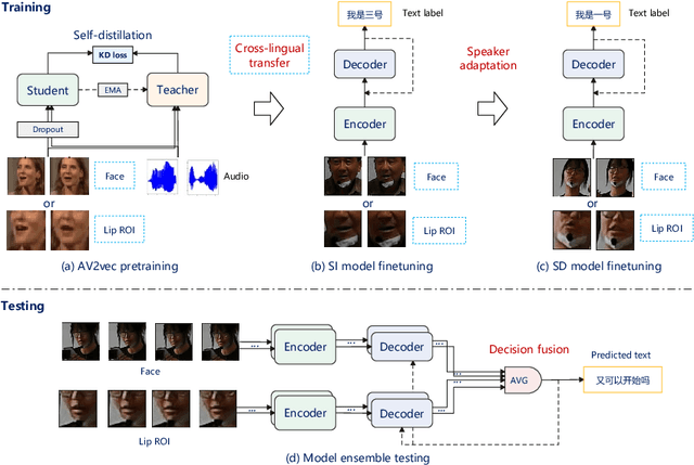 Figure 1 for Target Speaker Lipreading by Audio-Visual Self-Distillation Pretraining and Speaker Adaptation